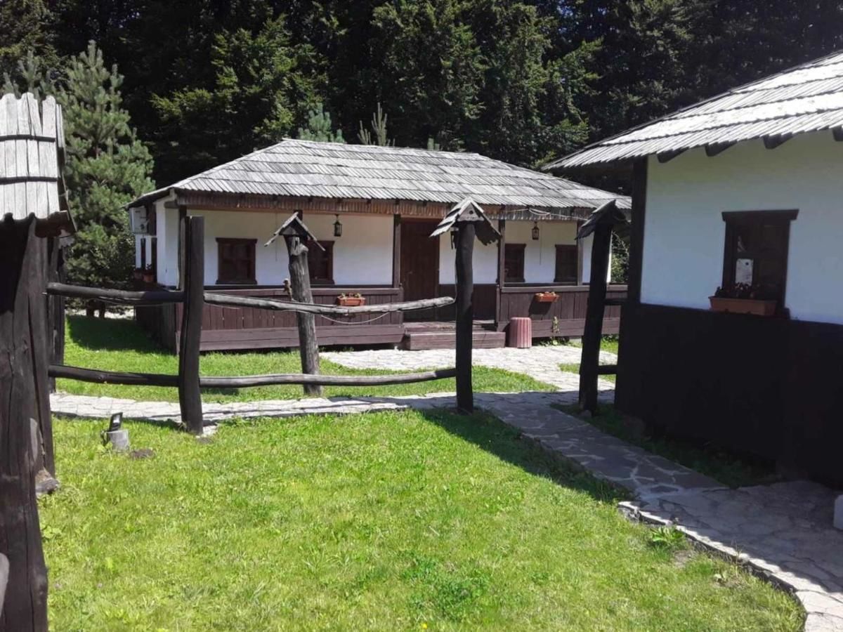 Отель Orlyne Gnizdo Черновцы