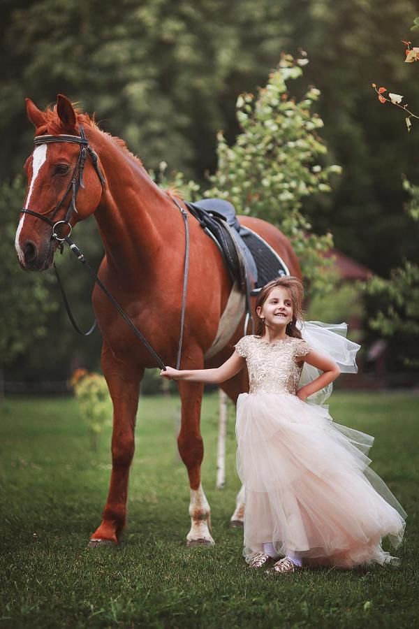 Отель Orlyne Gnizdo Черновцы-40