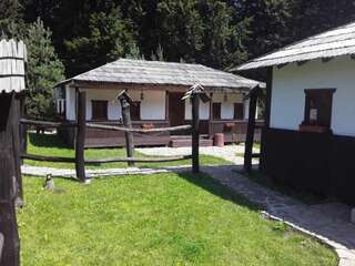 Отель Orlyne Gnizdo Черновцы Дом с 2 спальнями-1