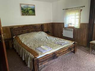 Отель Orlyne Gnizdo Черновцы Дом с 2 спальнями-2