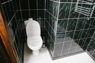 Отель Orlyne Gnizdo Черновцы Двухместный номер с 1 кроватью-10