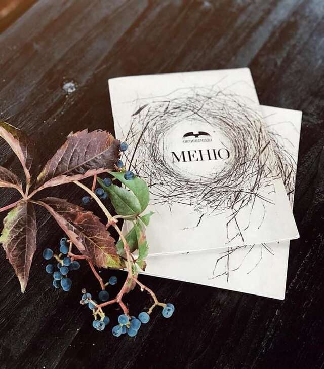 Отель Orlyne Gnizdo Черновцы-46